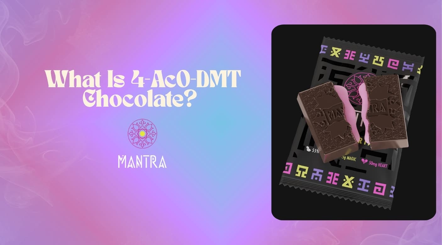 Are 4-AcO-DMT Safe? Risks vs Magic Mushroom Chocolates