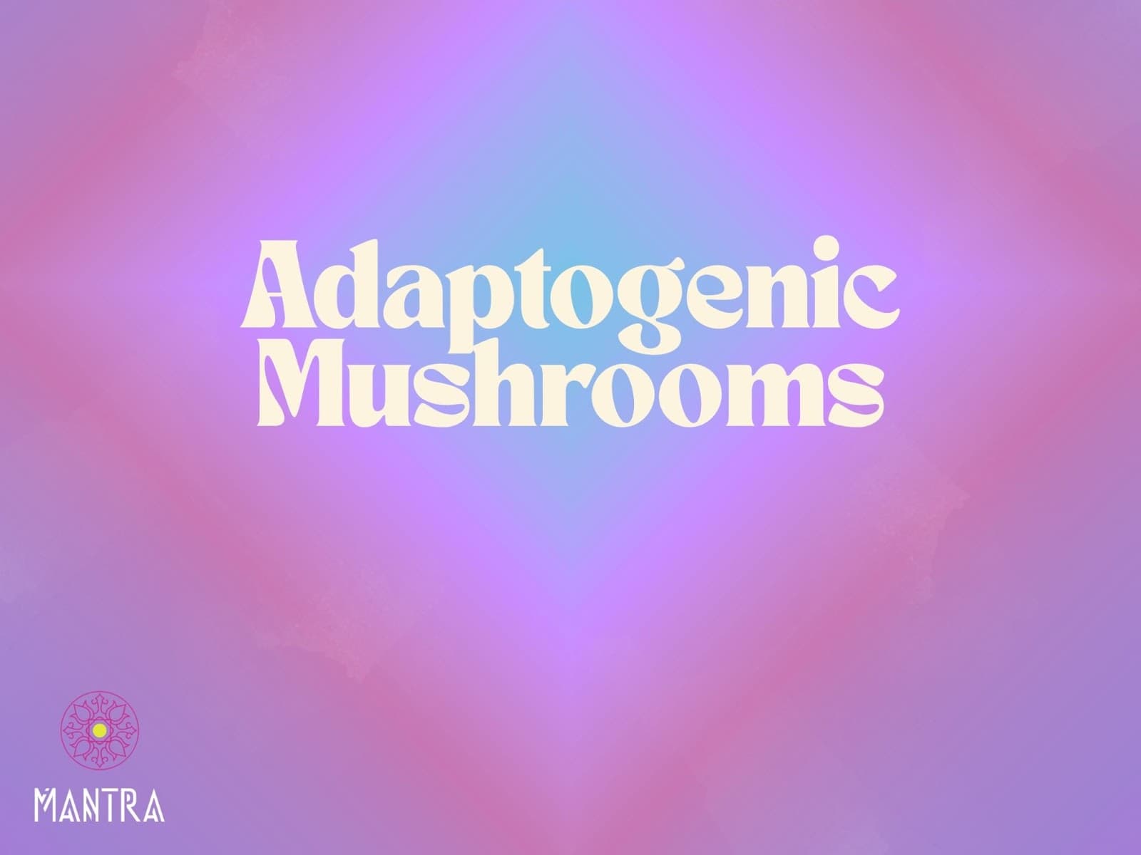 Adaptogenic Mushrooms: Benefits, Risks, and How to Use Them