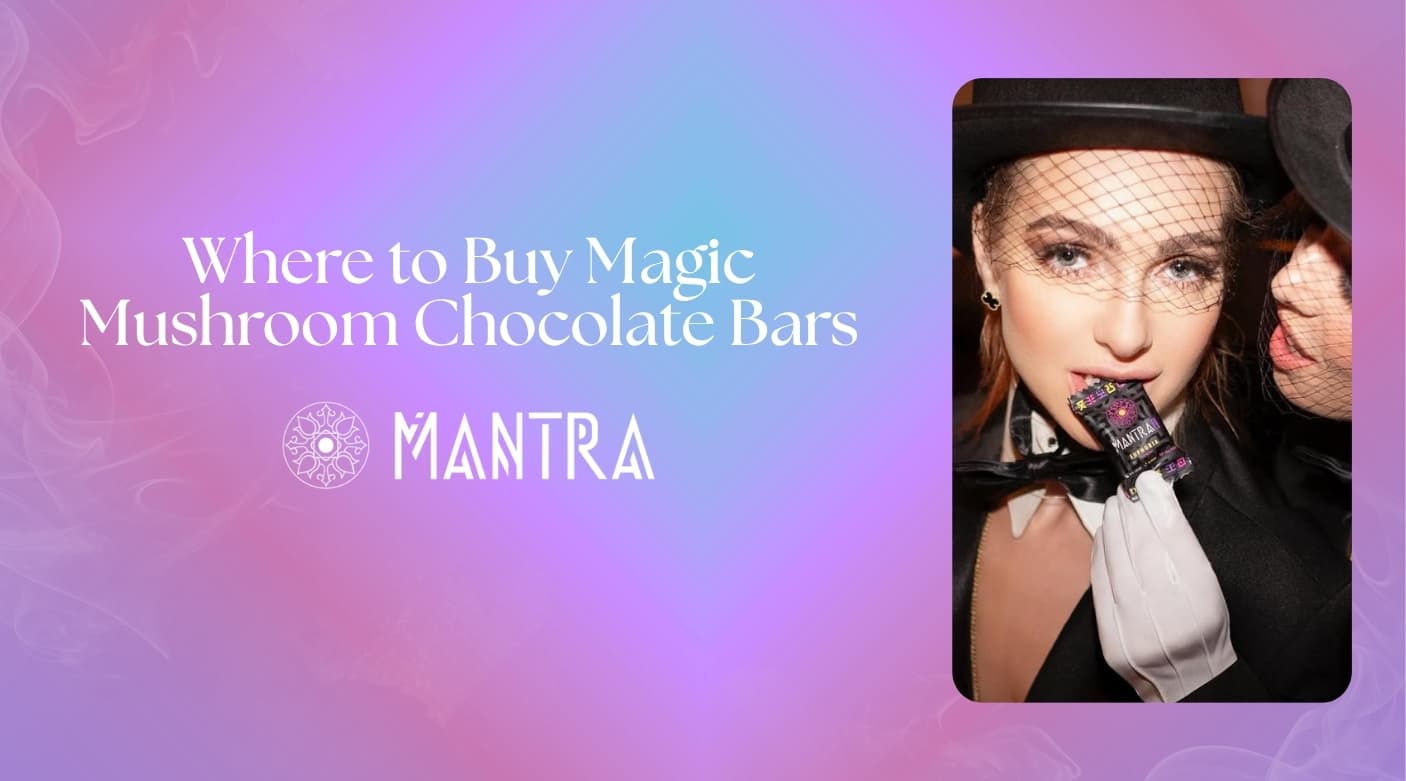 Where to Buy Magic Mushroom Chocolate Bars