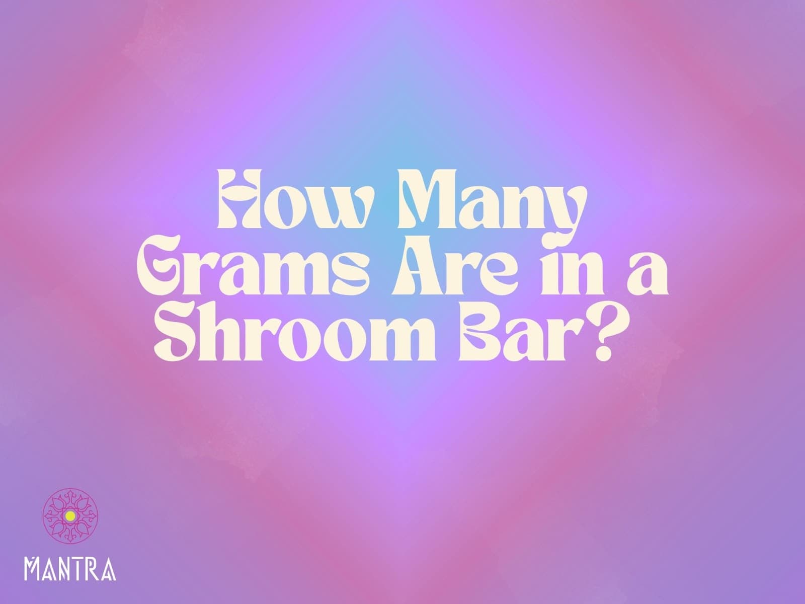 How Many Grams Are in a Shroom Bar? Full Guide