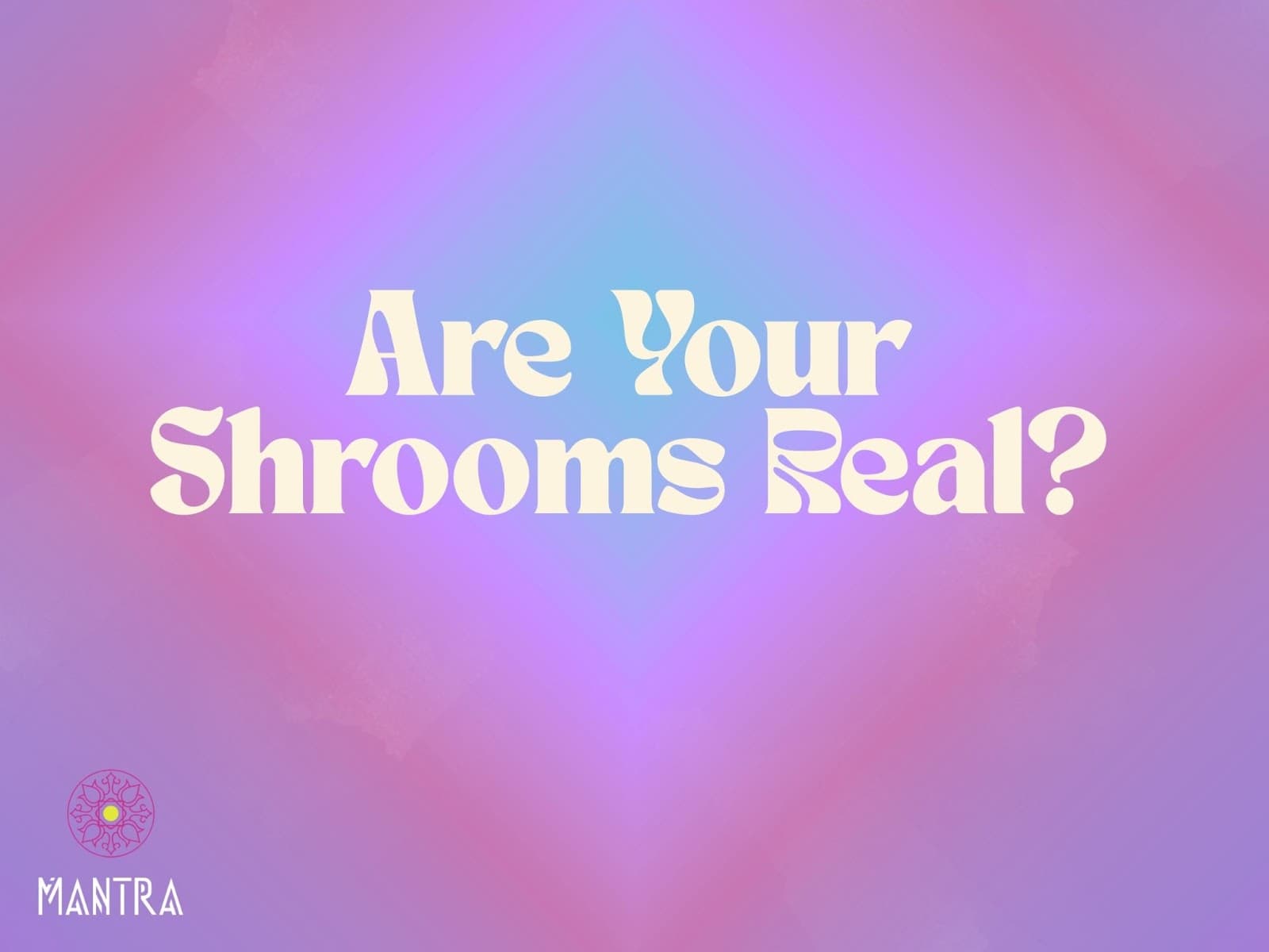 Are Your Shrooms Real? How to Spot Fake Magic Mushrooms