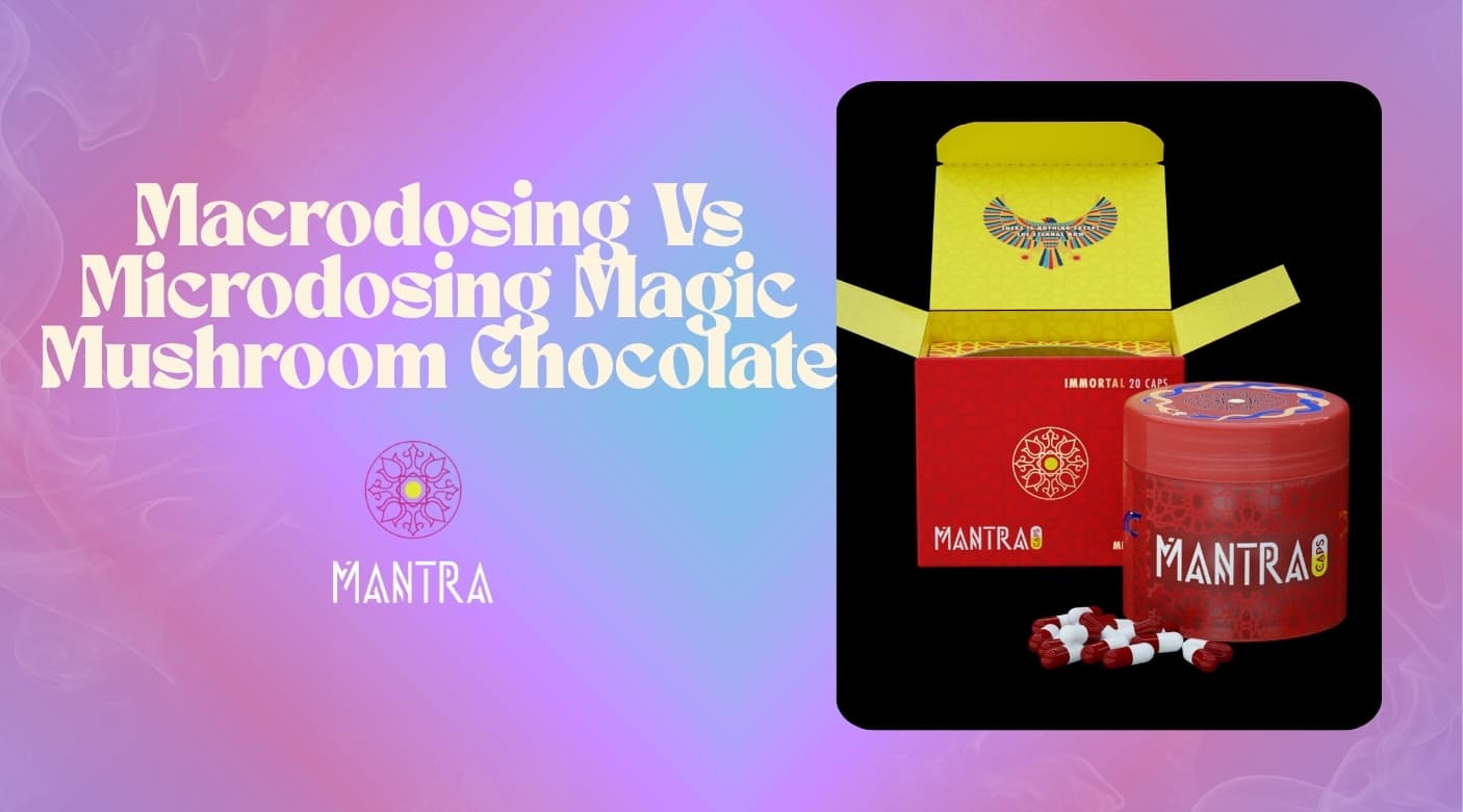 Macrodosing vs Microdosing Magic Mushroom Chocolate