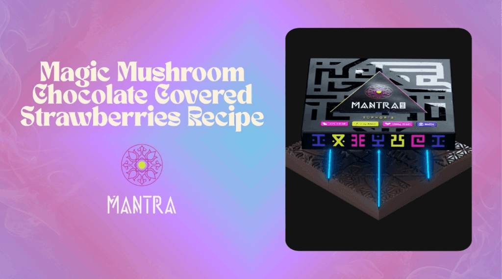 Magic Mushroom Chocolate Strawberries Recipe