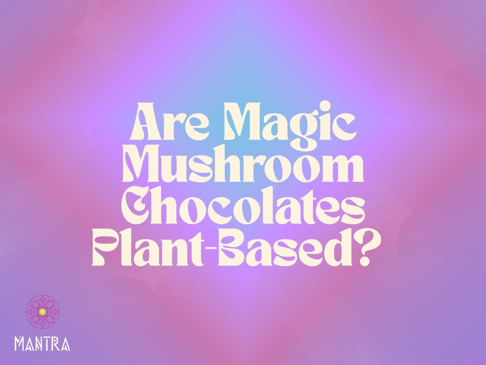 Are Magic Mushroom Chocolates Plant-Based?