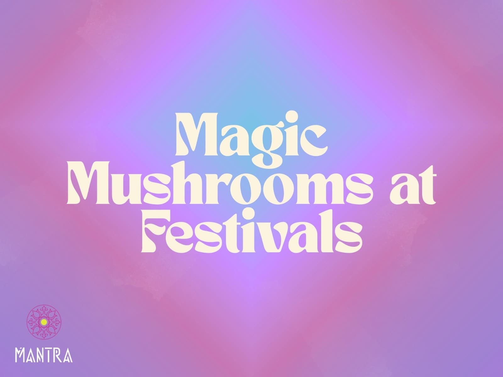 Magic Mushrooms at Festivals Guide