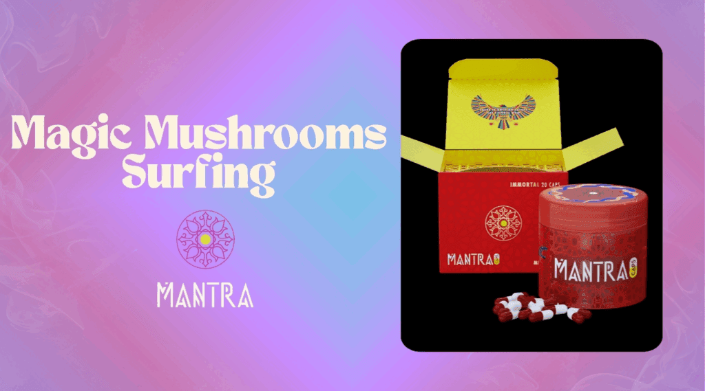 Magic Mushroom Surfing: Flow Meets Ceremony