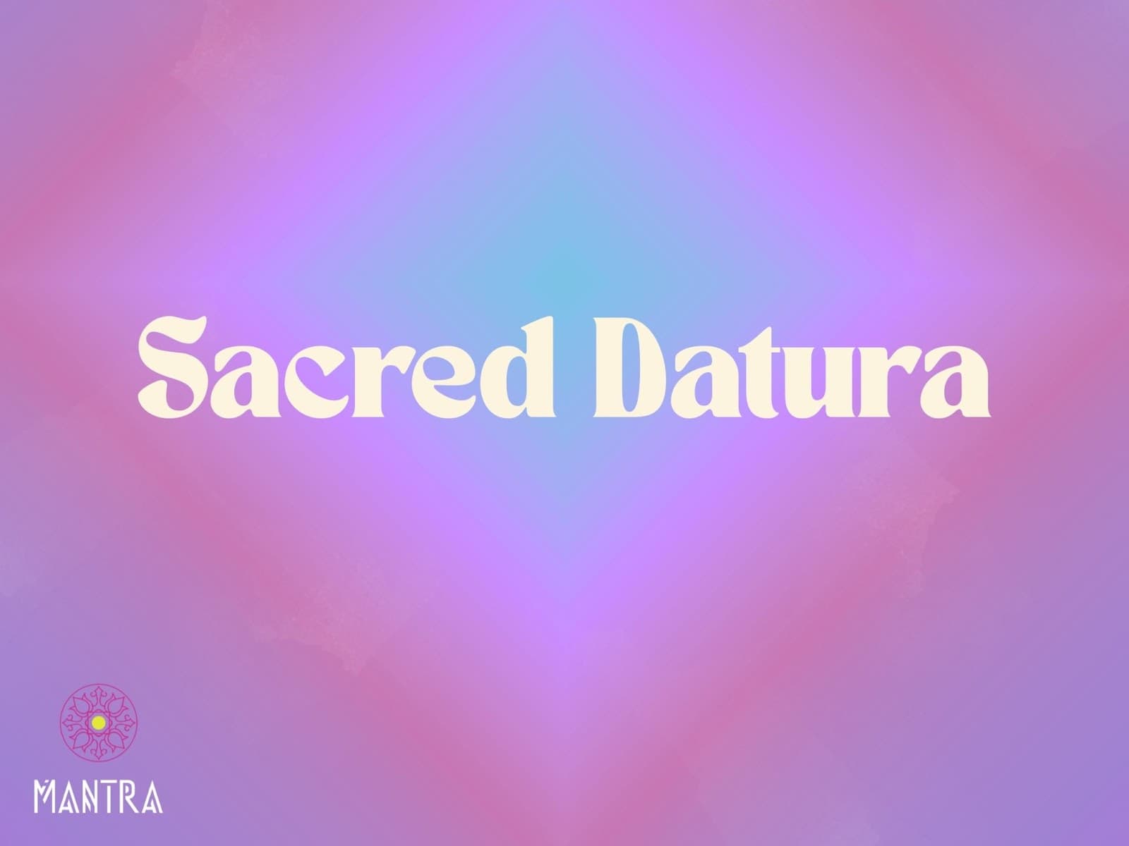 Sacred Datura: Beauty, Danger & Spiritual Power