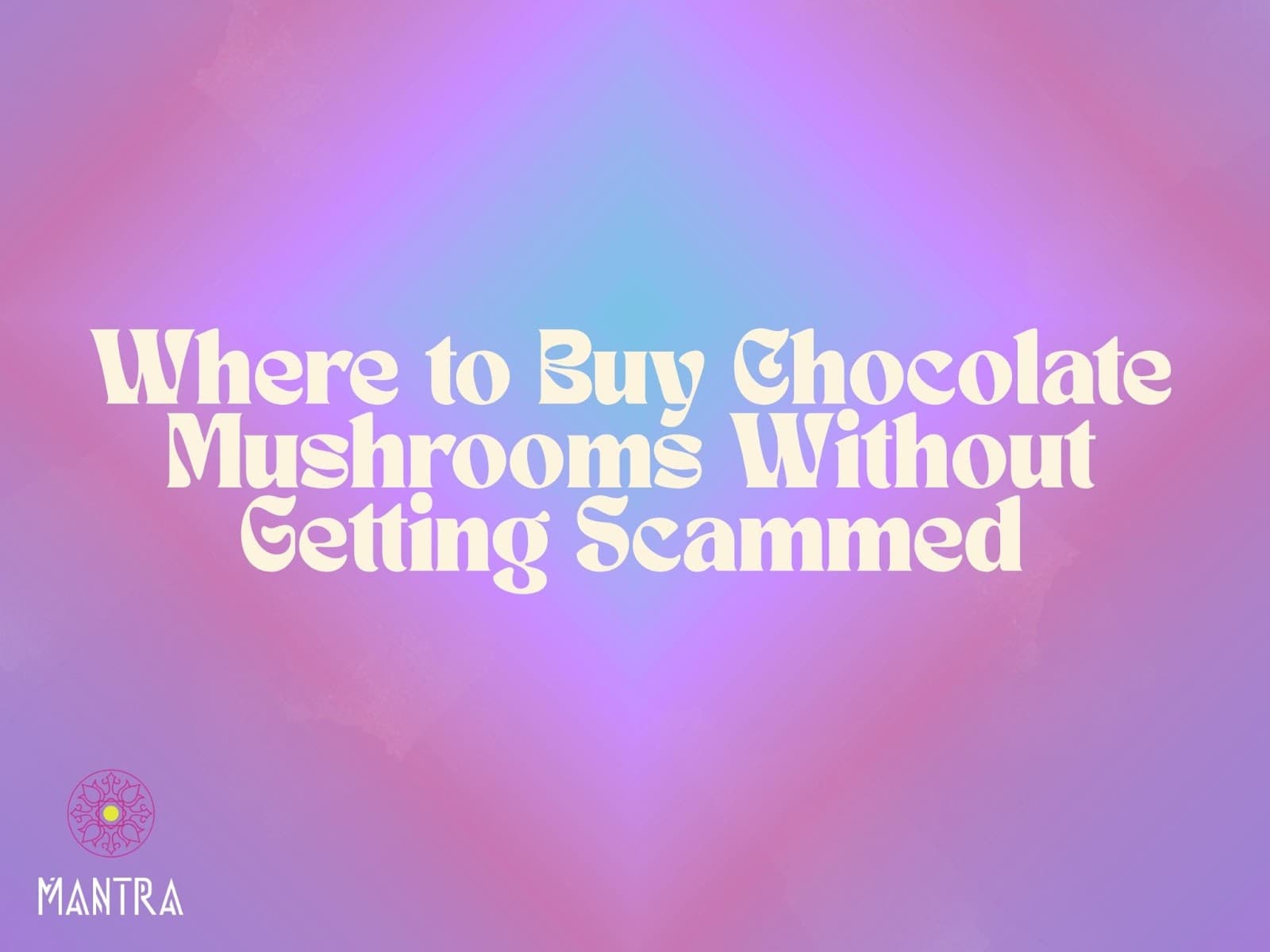 Where to Buy Chocolate Mushrooms Without Getting Scammed