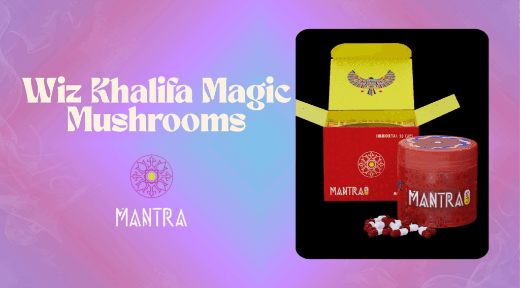 Wiz Khalifa’s Magic Mushrooms Trips & Insights